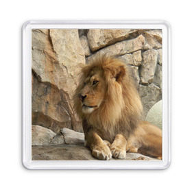 Магнит 55*55 с принтом Лев в Белгороде, Пластик | Размер: 65*65 мм; Размер печати: 55*55 мм | амурский | животные | киса | кот | котенок | кошка | лев | львица | пума | рысь | серый | тигр | хищник