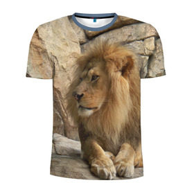 Мужская футболка 3D спортивная с принтом Лев в Белгороде, 100% полиэстер с улучшенными характеристиками | приталенный силуэт, круглая горловина, широкие плечи, сужается к линии бедра | амурский | животные | киса | кот | котенок | кошка | лев | львица | пума | рысь | серый | тигр | хищник