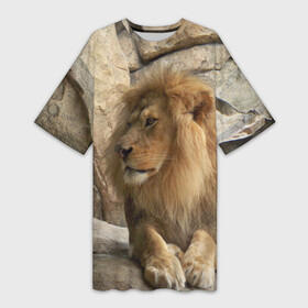 Платье-футболка 3D с принтом Лев в Белгороде,  |  | амурский | животные | киса | кот | котенок | кошка | лев | львица | пума | рысь | серый | тигр | хищник