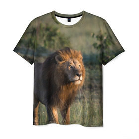 Мужская футболка 3D с принтом Лев в Белгороде, 100% полиэфир | прямой крой, круглый вырез горловины, длина до линии бедер | амурский | животные | киса | кот | котенок | кошка | лев | львица | пума | рысь | серый | тигр | хищник