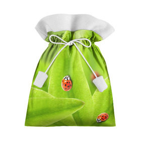 Подарочный 3D мешок с принтом Жучки на травке в Белгороде, 100% полиэстер | Размер: 29*39 см | Тематика изображения на принте: жук | зеленый | зелень | красный | насекомые | природа