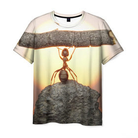 Мужская футболка 3D с принтом Муравей в Белгороде, 100% полиэфир | прямой крой, круглый вырез горловины, длина до линии бедер | ветка | жук | закат | камень | муравей | насекомые | природа