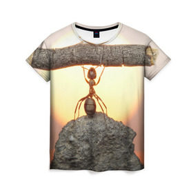 Женская футболка 3D с принтом Муравей в Белгороде, 100% полиэфир ( синтетическое хлопкоподобное полотно) | прямой крой, круглый вырез горловины, длина до линии бедер | ветка | жук | закат | камень | муравей | насекомые | природа