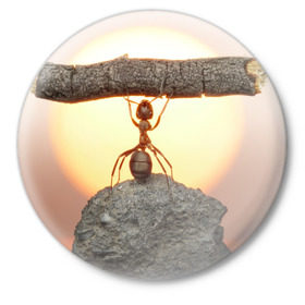 Значок с принтом Муравей в Белгороде,  металл | круглая форма, металлическая застежка в виде булавки | ветка | жук | закат | камень | муравей | насекомые | природа