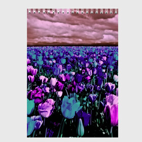 Скетчбук с принтом Поле тюльпанов в Белгороде, 100% бумага
 | 48 листов, плотность листов — 100 г/м2, плотность картонной обложки — 250 г/м2. Листы скреплены сверху удобной пружинной спиралью | flower | весна | поле | полевой цветок | природа | цветочки | цветы