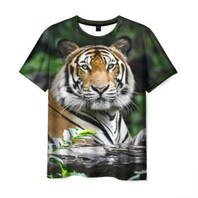 Мужская футболка 3D с принтом Тигр в джунглях в Белгороде, 100% полиэфир | прямой крой, круглый вырез горловины, длина до линии бедер | Тематика изображения на принте: амурский | животные | зверь | киса | кот | котенок | кошка | тигр | хищник