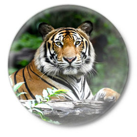 Значок с принтом Тигр в джунглях в Белгороде,  металл | круглая форма, металлическая застежка в виде булавки | Тематика изображения на принте: амурский | животные | зверь | киса | кот | котенок | кошка | тигр | хищник