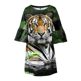 Детское платье 3D с принтом Тигр в джунглях в Белгороде, 100% полиэстер | прямой силуэт, чуть расширенный к низу. Круглая горловина, на рукавах — воланы | амурский | животные | зверь | киса | кот | котенок | кошка | тигр | хищник