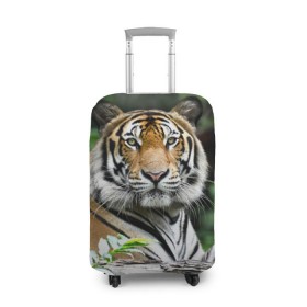 Чехол для чемодана 3D с принтом Тигр в джунглях в Белгороде, 86% полиэфир, 14% спандекс | двустороннее нанесение принта, прорези для ручек и колес | амурский | животные | зверь | киса | кот | котенок | кошка | тигр | хищник