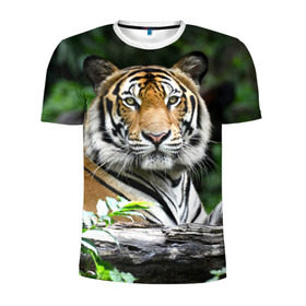 Мужская футболка 3D спортивная с принтом Тигр в джунглях в Белгороде, 100% полиэстер с улучшенными характеристиками | приталенный силуэт, круглая горловина, широкие плечи, сужается к линии бедра | Тематика изображения на принте: амурский | животные | зверь | киса | кот | котенок | кошка | тигр | хищник