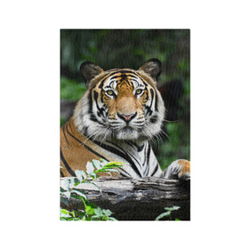 Обложка для паспорта матовая кожа с принтом Тигр в джунглях в Белгороде, натуральная матовая кожа | размер 19,3 х 13,7 см; прозрачные пластиковые крепления | Тематика изображения на принте: амурский | животные | зверь | киса | кот | котенок | кошка | тигр | хищник
