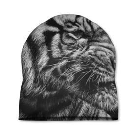 Шапка 3D с принтом Тигр в Белгороде, 100% полиэстер | универсальный размер, печать по всей поверхности изделия | амурский | животные | зверь | киса | кот | котенок | кошка | серый | тигр | тигренок | хищник