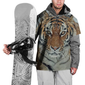 Накидка на куртку 3D с принтом Тигр в Белгороде, 100% полиэстер |  | амурский | животные | зверь | киса | кот | котенок | кошка | тигр | хищник