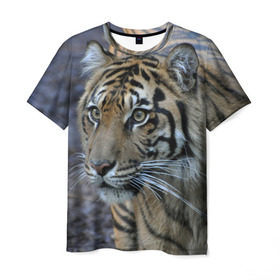 Мужская футболка 3D с принтом Тигр в Белгороде, 100% полиэфир | прямой крой, круглый вырез горловины, длина до линии бедер | амурский | животные | зверь | киса | кот | котенок | кошка | тигр | хищник