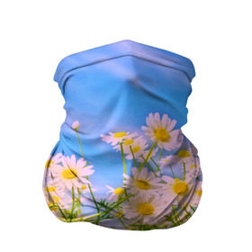 Бандана-труба 3D с принтом Ромашка в Белгороде, 100% полиэстер, ткань с особыми свойствами — Activecool | плотность 150‒180 г/м2; хорошо тянется, но сохраняет форму | flower | лето | полевой цветок | цветочки | цветы