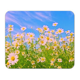 Коврик прямоугольный с принтом Ромашка в Белгороде, натуральный каучук | размер 230 х 185 мм; запечатка лицевой стороны | flower | лето | полевой цветок | цветочки | цветы