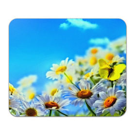 Коврик прямоугольный с принтом Ромашка полевая в Белгороде, натуральный каучук | размер 230 х 185 мм; запечатка лицевой стороны | flower | лето | поле | полевой цветок | цветочки | цветы