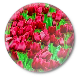 Значок с принтом Поле цветов в Белгороде,  металл | круглая форма, металлическая застежка в виде булавки | Тематика изображения на принте: flower | весна | красные | цветочки | цветы