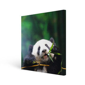 Холст квадратный с принтом Панда на ветке в Белгороде, 100% ПВХ |  | Тематика изображения на принте: животные | лес | медведь | медвежонок | панда | природа