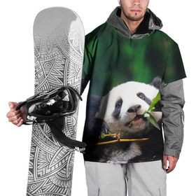 Накидка на куртку 3D с принтом Панда на ветке в Белгороде, 100% полиэстер |  | животные | лес | медведь | медвежонок | панда | природа