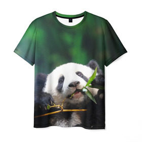 Мужская футболка 3D с принтом Панда на ветке в Белгороде, 100% полиэфир | прямой крой, круглый вырез горловины, длина до линии бедер | животные | лес | медведь | медвежонок | панда | природа