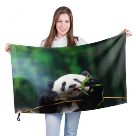 Флаг 3D с принтом Панда на ветке в Белгороде, 100% полиэстер | плотность ткани — 95 г/м2, размер — 67 х 109 см. Принт наносится с одной стороны | животные | лес | медведь | медвежонок | панда | природа