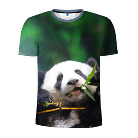Мужская футболка 3D спортивная с принтом Панда на ветке в Белгороде, 100% полиэстер с улучшенными характеристиками | приталенный силуэт, круглая горловина, широкие плечи, сужается к линии бедра | животные | лес | медведь | медвежонок | панда | природа