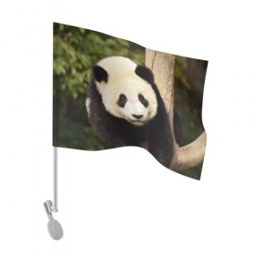 Флаг для автомобиля с принтом Панда на дереве в Белгороде, 100% полиэстер | Размер: 30*21 см | животные | лес | медведь | медвежонок | панда | природа