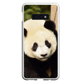 Чехол для Samsung S10E с принтом Панда на дереве в Белгороде, Силикон | Область печати: задняя сторона чехла, без боковых панелей | животные | лес | медведь | медвежонок | панда | природа