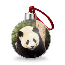 Ёлочный шар с принтом Панда на дереве в Белгороде, Пластик | Диаметр: 77 мм | Тематика изображения на принте: животные | лес | медведь | медвежонок | панда | природа