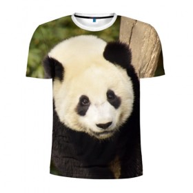 Мужская футболка 3D спортивная с принтом Панда на дереве в Белгороде, 100% полиэстер с улучшенными характеристиками | приталенный силуэт, круглая горловина, широкие плечи, сужается к линии бедра | животные | лес | медведь | медвежонок | панда | природа