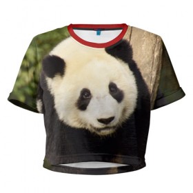 Женская футболка 3D укороченная с принтом Панда на дереве в Белгороде, 100% полиэстер | круглая горловина, длина футболки до линии талии, рукава с отворотами | животные | лес | медведь | медвежонок | панда | природа