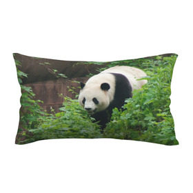 Подушка 3D антистресс с принтом Панда в лесу в Белгороде, наволочка — 100% полиэстер, наполнитель — вспененный полистирол | состоит из подушки и наволочки на молнии | животные | лес | медведь | медвежонок | панда | природа