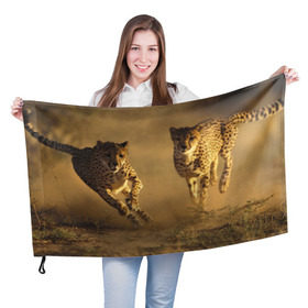 Флаг 3D с принтом Гепард в Белгороде, 100% полиэстер | плотность ткани — 95 г/м2, размер — 67 х 109 см. Принт наносится с одной стороны | амурский | гепард | животные | зверь | киса | кот | котенок | кошка | лев | леопард | пума | рысь | серый | тигр | тигренок | хищник