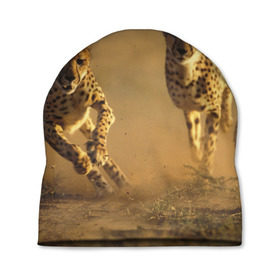 Шапка 3D с принтом Гепард в Белгороде, 100% полиэстер | универсальный размер, печать по всей поверхности изделия | Тематика изображения на принте: амурский | гепард | животные | зверь | киса | кот | котенок | кошка | лев | леопард | пума | рысь | серый | тигр | тигренок | хищник