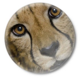 Значок с принтом Гепард в Белгороде,  металл | круглая форма, металлическая застежка в виде булавки | Тематика изображения на принте: амурский | гепард | животные | зверь | киса | кот | котенок | кошка | лев | леопард | пума | рысь | серый | тигр | тигренок | хищник