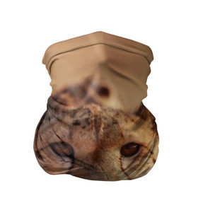 Бандана-труба 3D с принтом Гепард в Белгороде, 100% полиэстер, ткань с особыми свойствами — Activecool | плотность 150‒180 г/м2; хорошо тянется, но сохраняет форму | амурский | гепард | животные | зверь | киса | кот | котенок | кошка | лев | леопард | пума | рысь | серый | тигр | тигренок | хищник