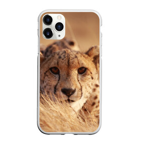 Чехол для iPhone 11 Pro Max матовый с принтом Гепард в Белгороде, Силикон |  | амурский | гепард | животные | зверь | киса | кот | котенок | кошка | лев | леопард | пума | рысь | серый | тигр | тигренок | хищник