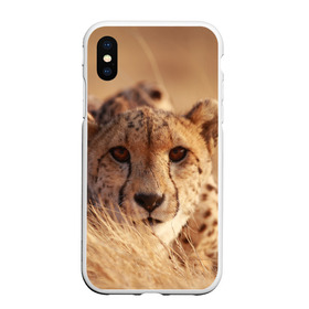 Чехол для iPhone XS Max матовый с принтом Гепард в Белгороде, Силикон | Область печати: задняя сторона чехла, без боковых панелей | амурский | гепард | животные | зверь | киса | кот | котенок | кошка | лев | леопард | пума | рысь | серый | тигр | тигренок | хищник
