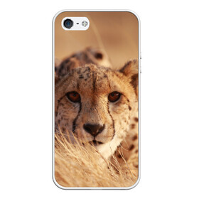 Чехол для iPhone 5/5S матовый с принтом Гепард в Белгороде, Силикон | Область печати: задняя сторона чехла, без боковых панелей | амурский | гепард | животные | зверь | киса | кот | котенок | кошка | лев | леопард | пума | рысь | серый | тигр | тигренок | хищник