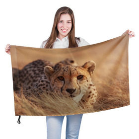 Флаг 3D с принтом Гепард в Белгороде, 100% полиэстер | плотность ткани — 95 г/м2, размер — 67 х 109 см. Принт наносится с одной стороны | амурский | гепард | животные | зверь | киса | кот | котенок | кошка | лев | леопард | пума | рысь | серый | тигр | тигренок | хищник