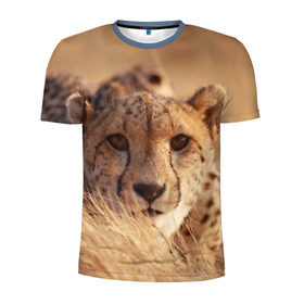 Мужская футболка 3D спортивная с принтом Гепард в Белгороде, 100% полиэстер с улучшенными характеристиками | приталенный силуэт, круглая горловина, широкие плечи, сужается к линии бедра | Тематика изображения на принте: амурский | гепард | животные | зверь | киса | кот | котенок | кошка | лев | леопард | пума | рысь | серый | тигр | тигренок | хищник