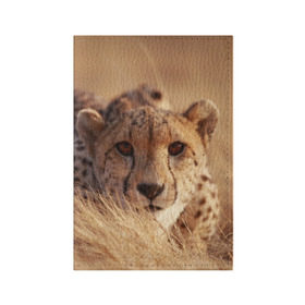 Обложка для паспорта матовая кожа с принтом Гепард в Белгороде, натуральная матовая кожа | размер 19,3 х 13,7 см; прозрачные пластиковые крепления | амурский | гепард | животные | зверь | киса | кот | котенок | кошка | лев | леопард | пума | рысь | серый | тигр | тигренок | хищник