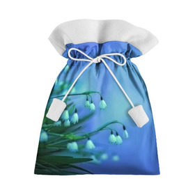 Подарочный 3D мешок с принтом Подснежники в Белгороде, 100% полиэстер | Размер: 29*39 см | Тематика изображения на принте: flower | весна | поле | полевой цветок | цветочки | цветы