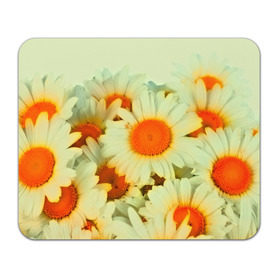 Коврик прямоугольный с принтом Подсолнух в Белгороде, натуральный каучук | размер 230 х 185 мм; запечатка лицевой стороны | flower | лето | полевой цветок | цветочки | цветы