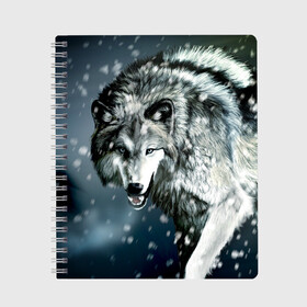 Тетрадь с принтом Волк в Белгороде, 100% бумага | 48 листов, плотность листов — 60 г/м2, плотность картонной обложки — 250 г/м2. Листы скреплены сбоку удобной пружинной спиралью. Уголки страниц и обложки скругленные. Цвет линий — светло-серый
 | animal | art | night | painting | predator | snow | view | winter | wolf | взгляд | волк | животное | зима | искусство | картина | ночь | снег | хищник