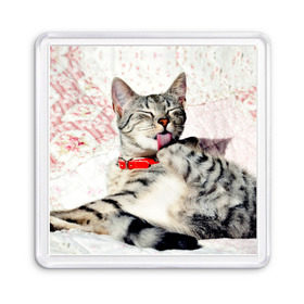 Магнит 55*55 с принтом Кошка в Белгороде, Пластик | Размер: 65*65 мм; Размер печати: 55*55 мм | cat | collar | heel | licking | lying | red | striped | кошка | красный | лежит | лижет | ошейник | полосатая | пятка