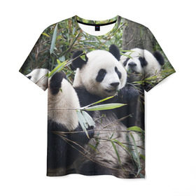 Мужская футболка 3D с принтом Семейка панд в Белгороде, 100% полиэфир | прямой крой, круглый вырез горловины, длина до линии бедер | бамбук | животное | зверь | косолапый | лес | медведи | медведь | миша | мишка | мишутка | млекопитающее | панда | природа | трое