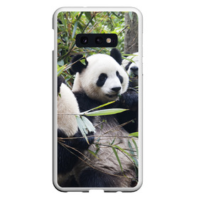 Чехол для Samsung S10E с принтом Семейка панд в Белгороде, Силикон | Область печати: задняя сторона чехла, без боковых панелей | бамбук | животное | зверь | косолапый | лес | медведи | медведь | миша | мишка | мишутка | млекопитающее | панда | природа | трое