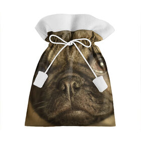 Подарочный 3D мешок с принтом Мопс в Белгороде, 100% полиэстер | Размер: 29*39 см | бульдог | мопс | мопсик | мопсы | пес | песик | песики | собака | собаки | собачка